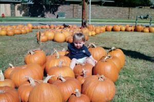 10-01mattonpumpkins.jpg
