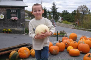 2004-10-09_pumpkins1.jpg